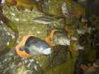 foto/forum/2006/th-img192.jpg
