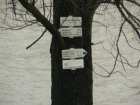 foto/forum/2006/th-img299.jpg