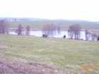 foto/forum/2006/th-img408.jpg