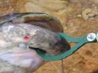 foto/forum/2006/th-img523.jpg