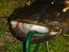 foto/forum/2006/th-img524.jpg