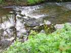 foto/forum/2006/th-img530.jpg