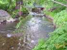 foto/forum/2006/th-img536.jpg