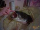 foto/forum/2006/th-img559.jpg