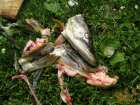 foto/forum/2006/th-img561.jpg