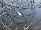 foto/forum/2006/th-img622.jpg