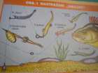 foto/forum/2006/th-img630.jpg