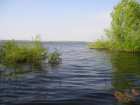 foto/forum/2006/th-img634.jpg