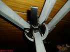 foto/forum/2006/th-img64.jpg
