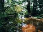 foto/forum/2006/th-img661.jpg