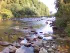 foto/forum/2006/th-img725.jpg