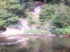 foto/forum/2006/th-img726.jpg