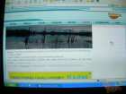 foto/forum/2006/th-img765.jpg