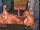 foto/forum/2006/th-img795.jpg