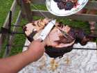 foto/forum/2006/th-img796.jpg