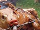 foto/forum/2006/th-img799.jpg