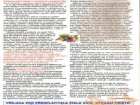 foto/forum/2006/th-img859.jpg