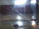 foto/forum/2006/th-img872.jpg