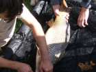 foto/forum/2006/th-img893.jpg