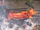 foto/forum/2006/th-img895.jpg