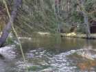 foto/forum/2007/th-img1825.jpg
