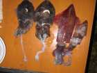 foto/forum/2007/th-img2093.jpg