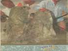 foto/forum/2007/th-img2292.jpg