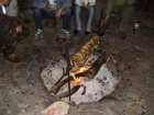 foto/forum/2007/th-img2373.jpg