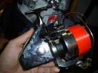 foto/forum/2007/th-img2386.jpg