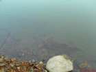 foto/forum/2007/th-img2406.jpg