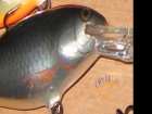 foto/forum/2007/th-img2474.jpg