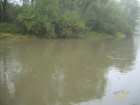 foto/forum/2007/th-img2601.jpg