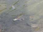 foto/forum/2007/th-img2636.jpg