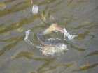 foto/forum/2007/th-img2639.jpg