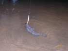 foto/forum/2007/th-img2669.jpg