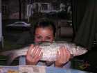foto/forum/2007/th-img2670.jpg
