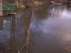 foto/forum/2007/th-img2749.jpg