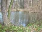 foto/forum/2007/th-img2778.jpg