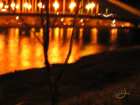 foto/forum/2007/th-img2871.jpg