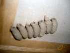 foto/forum/2007/th-img2878.jpg