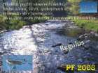 foto/forum/2007/th-img2899.jpg