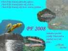 foto/forum/2007/th-img2906.jpg