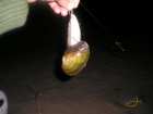 foto/forum/2008/th-img3040.jpg