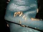 foto/forum/2008/th-img3131.jpg