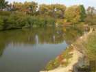 foto/forum/2008/th-img3217.jpg