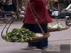 foto/forum/2008/th-img3248.jpg