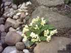 foto/forum/2008/th-img3621.jpg