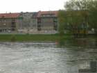 foto/forum/2008/th-img3682.jpg