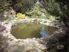 foto/forum/2008/th-img3685.jpg