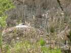 foto/forum/2008/th-img3723.jpg